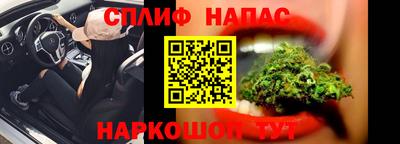 сатива Будённовск