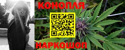 сатива Будённовск