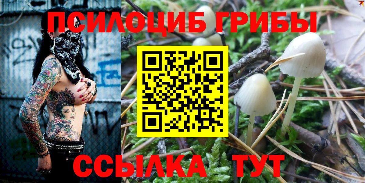 Мурино  Галлюциногенные грибы прущие грибы  Вход с VPN 