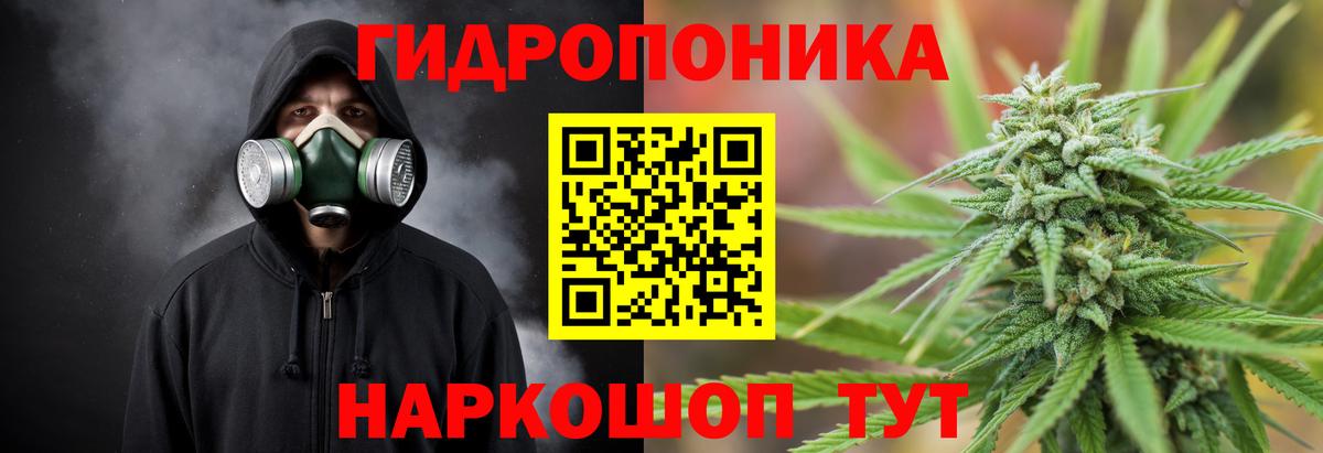 Марихуана Amnesia  Конопля ГИДРОПОН  Мурино  Бошки Шишки MAZAR  Вход с VPN 